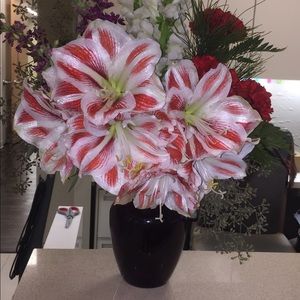 Meet your Posher, Martina